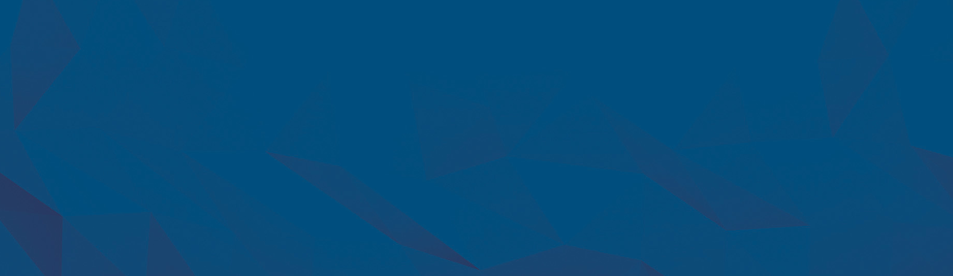 APCO Holdings